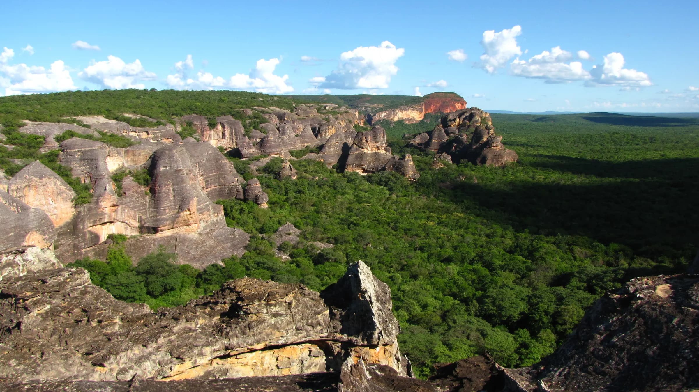 Mata verde e formações de arenito no Parque Nacional da Serra da Capivara (PI)